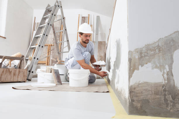 Best Eco-Friendly and Low-VOC Painting  in Somersworth, NH